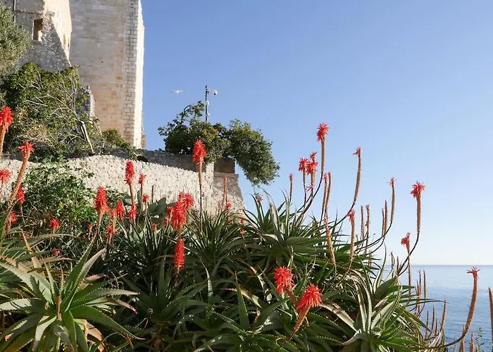 Ferienhaus Maison La Tropezienne ... New • Fabulous 5* Luxe & Terrasse • 6p. Old Town *